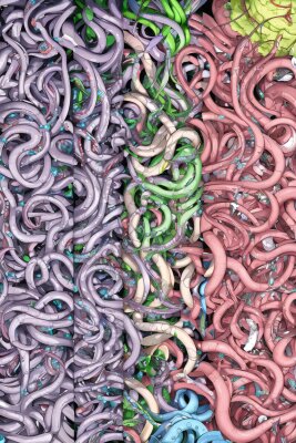 Squid Game Rapecest: Survive or Succumb?